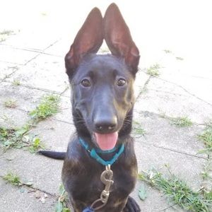 Meet your Posher, Maddelynne